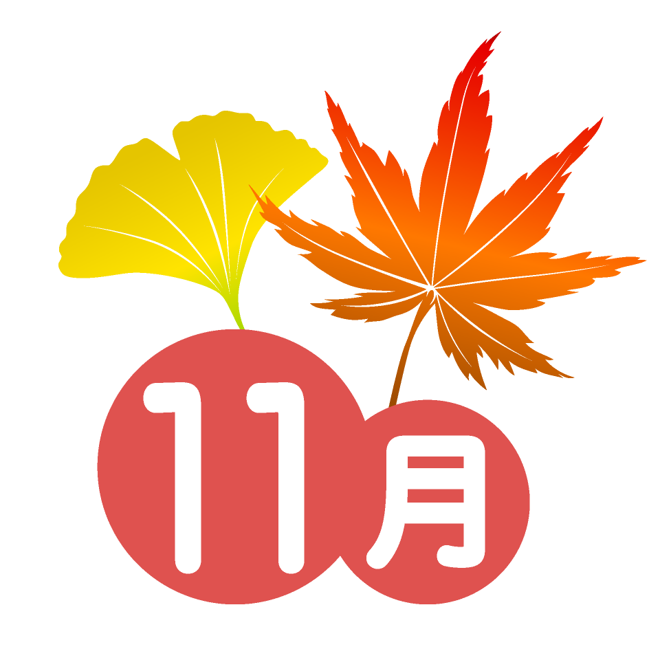 11月