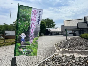 紫陽花まつり