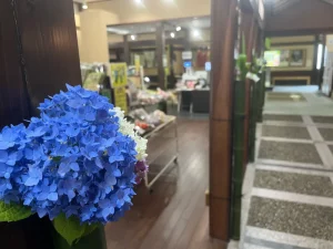 紫陽花まつり